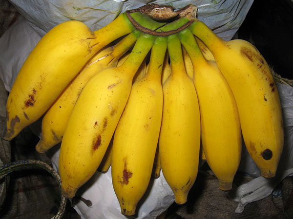 South indian banana